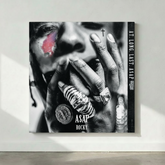 A$AP Rocky - At Long Last A$AP Canvas